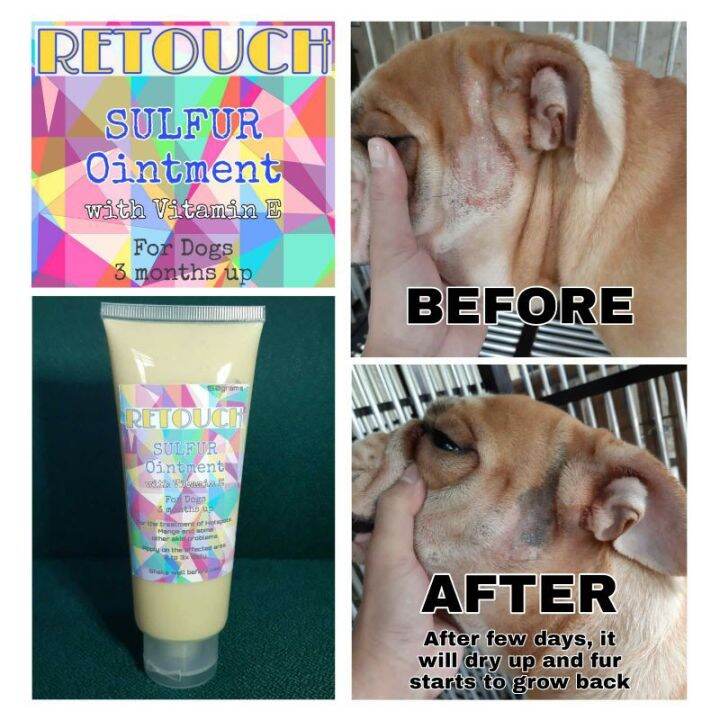 Retouch SULFUR Ointment with Vitamin E for dogs Lazada PH