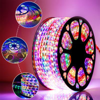 Dreamcolor Waterproof LED Strip Light SMD2835 220V 1M5M10M15M20M25M30M Decor Outdoor Garden Led Tape with EU Plug 8 Mode