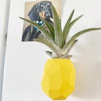 3M Glue Pineapple Air Plant Pot Air Plant Holder Air Plant Pineapple Planter Container Pot Display with Indoor Wall Home Decor