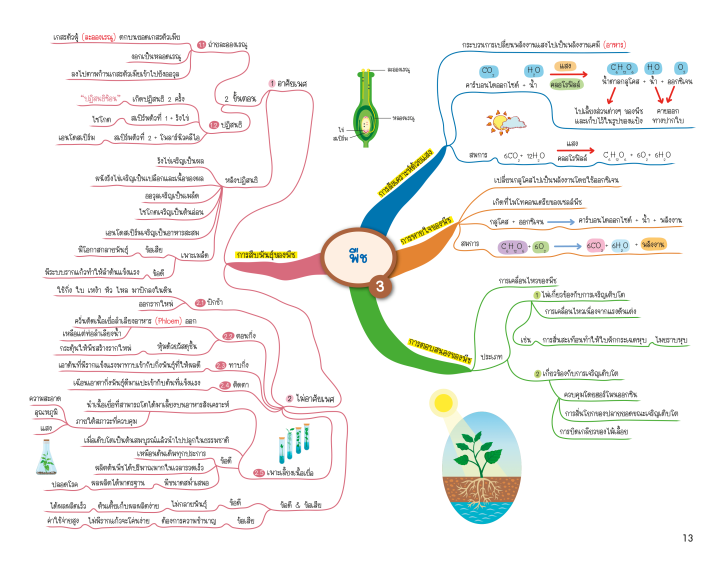 science-map-สรุปเนื้อหาวิทยาศาสตร์-ระดับประถมปลาย