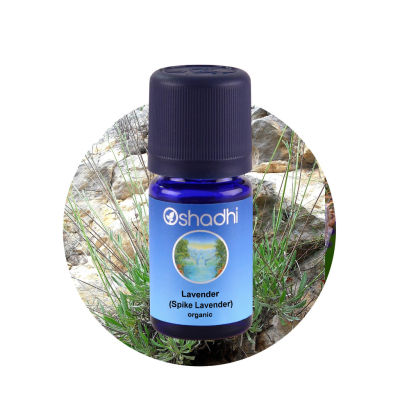 Oshadhi Lavender (Spike Lavender) Organic Essential Oil น้ำมันหอมระเหย (10 ml)
