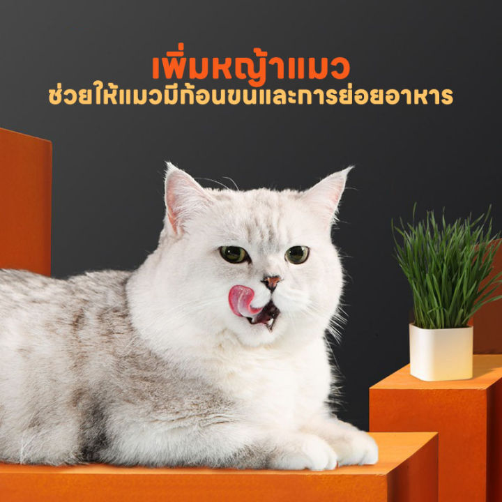 ขนมแมวเลีย-ขนมแมว-อาหารเสริมแมว-ขนมแมวที่ผสมอาหารสัตว์-แถบแมวของเหลวให้ค