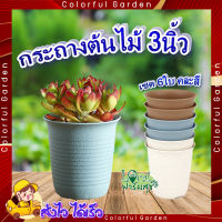 กระถางปลูกต้นไม้ ทรงกลม ใบเล็ก ? Tree O ขนาด 3นิ้ว (เซต 6ใบ) คละสี รุ่น 6PY057-MX กระถางต้นไม้ กระถาง กระถางพลาสติก อย่า