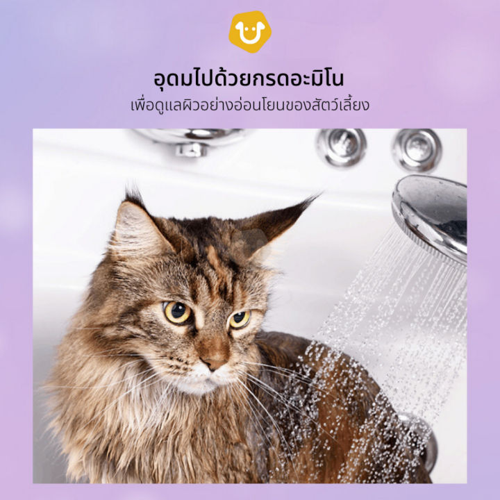 upets-แชมพูอาบน้ำสัตว์เลี้ยง-monze-สูตรอ่อนโยน-น้ำยาอาบน้ำแมว-น้ำยาอาบน้ำหมา-ควบคุมความมัน-สารสกัดจากธรรมชาติ
