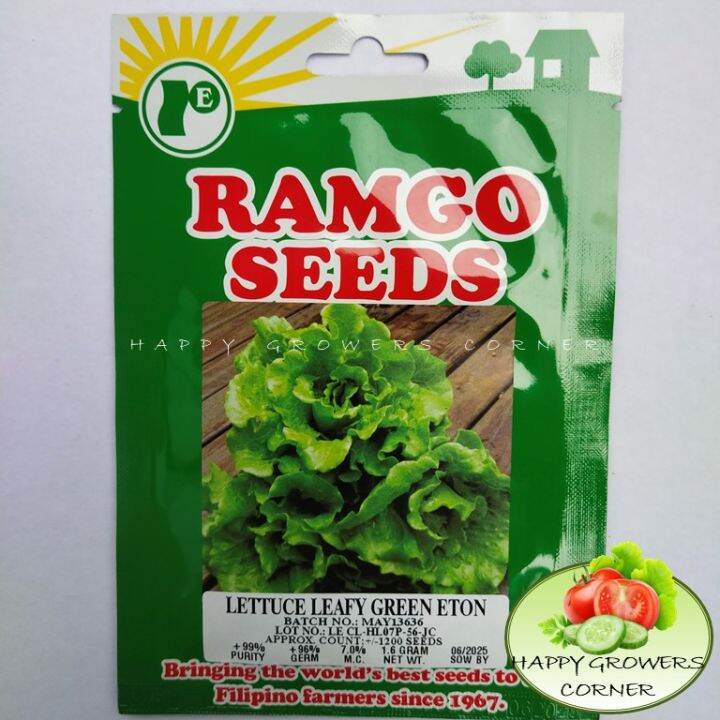 LETTUCE GREEN LEAFY GREEN ETON (1.6 GRAMS) RAMGO SEEDS Lazada PH