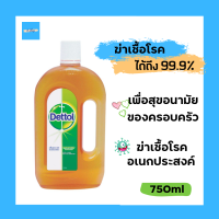 Dettol เดทตอล ไฮยีน มัลติ-ยูส น้ำยาฆ่าเชื้อโรคอเนกประสงค์ ฆ่าเชื้อโรคได้มากถึง 99.99% ขวดขนาด 750ml.