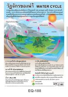 วัฏจักรของน้ำ EQ 188 โปสเตอร์สื่อการสอน หุ้มพลาสติก ขนาด 50 * 70 cm