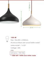 โคมไฟห้อยฝาชี DECORATIVE LIGHTING Loft Pendant lamp (TSP)