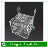 กล่องอคริลิคแยกเลี้ยงปลา กุ้ง ในตู้ปลาใหญ่ 1 ช่อง แบบแขวน Acrylic Aquarium Fish Tank Box Hang On