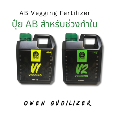 ปุ๋ย AB สำหรับทำใบ ธาตุอาหารครบ เข้มข้น ปุ๋ยกัญ 420 ไฮโดร โคโค่ เกรดพรีเมี่ยม Vegetative สร้างลำต้น 1ลิตร เร่งราก เร่งใบ ปุ๋ยน้ำ Fertilizer