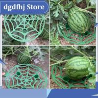 Dgdfhj Shop 5pcs Watermelon Stand basket Frame Holder Plant Tray Fruit Support Rack Vegetables Gardening Stand Garden Tools