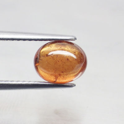 พลอย โกเมน หลังเบี้ย สีส้ม สเปสซาไทท์ การ์เน็ต ธรรมชาติ ดิบ แท้ ( Unheated Natural Spessartite Garnet ) หนัก 2.48 กะรัต