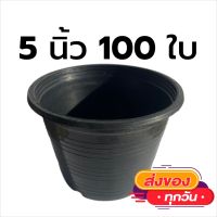 กระถาง 5 นิ้วแพ็ค 100 ใบ สุดคุ้ม ประหยัดกันสุดๆ