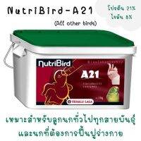 ลูกป้อน A21 (บรรจุถุงซิปล็อก)