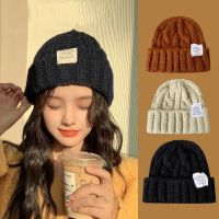 【YD】 Color Knitted Beanie Hats Thick Warm Cap Ladies Elastic Twist Crochet Hat