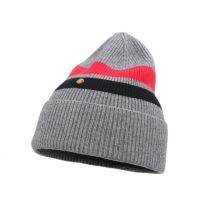 New Autumn Winter Soft Warm Beanie Cozy Knit Hat Exquisite Embroidery With Ear Protection Outdoor Cold Hat