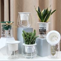 self watering flower pot for plants desktop pot self watering planter pot for plants for home decoration