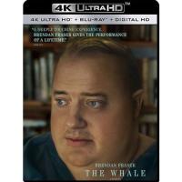 แผ่น 4K หนังใหม่ - The Whale (2022) เหงา เท่า วาฬ - แผ่นหนัง 4K UHD (เสียง Eng DTS/Eng | ซับ Eng/ไทย) หนัง 4K UHD