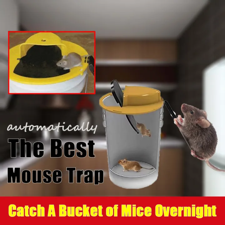 [LONG LASTING] Catch Mouse Mouse Catcher Smart to Attract Mice Safe and Nontoxic Indoor Outdoor