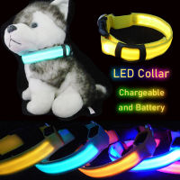 LED Dog Collar Light Big Cat Pet Small Charm Dark Night Safety Light-up Flashing USB Charge Anti Lost Nylon For Chihuahua Leash Leashes