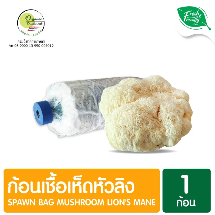 ก้อนเชื้อเห็ดหัวลิง 1 ก้อน Spawn Bag Mushroom Lion's Mane Lazada.co.th