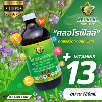 คลอโรฟิลล์ ขนาด 120ml. คลอโรฟิลล์อัลฟัลฟ่าเข้มข้น 100% หัวเชื้อคลอโรฟิลส์ คลอโรฟิลล์ชนิดน้ำ