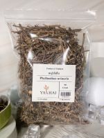 หญ้าใต้ใบ Phyllanthus urinaria 90 กรัม 1 ถุง สมุนไพร แท้ ออแกนิค คนรัก สุขภาพ เก็บรักษาได้นาน By Ya Thai