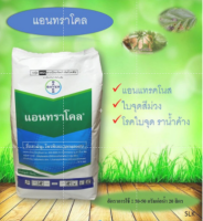 แอนทราโคล 1 Kg. โพรพิเนบ โรคใบจุด โรคเชื้อรา