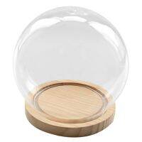 Decorative Glass Bell with Wooden Floor, Transparent Glass Container -Landscape Garden DIY Terrarium Container