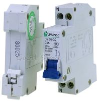 1ชิ้น25a 1pn Dz30-32 Dpn 220V 230V 50Hz 60Hz รถไฟขนาดเล็กเบรกเกอร์ Rcbo Rccb