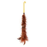 ไม้ปัดขนไก่ด้ามพลาสติกใหญ่ COLOR KITFEATHER DUSTER WITH PLASTIC HANDLE COLOR KIT LARGE **ขายดีที่สุด**