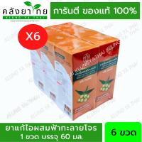 ยกแพ็ค 6 ขวด ยาน้ำแก้ไอผสมฟ้าทะลายโจร แบรนด์การบูร ขนาด 60 มล. [Karaboon] พร้อมส่ง (ยาสามัญประจำบ้าน)