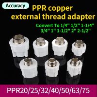 PPR Convert To 1/4" 1/2" 1-1/4" 3/4" 1" 1-1/2" 2" 2-1/2"  Brass Adapter External Thread Adapters Change Diameter Pipe Fittings Pipe Fittings Accessori