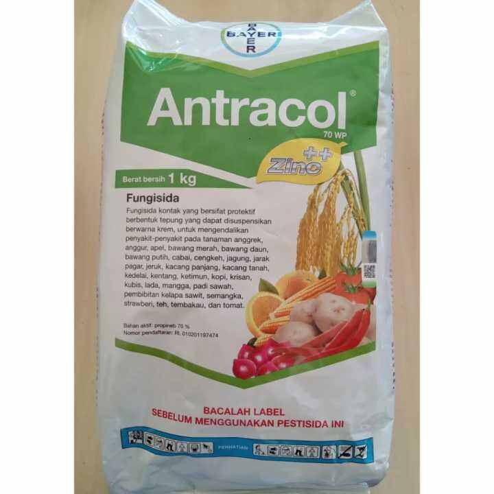 Fungisida Antracol 1 kg | Lazada Indonesia