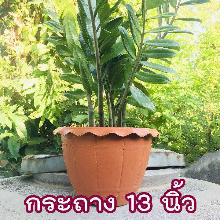 กระถางต้นไม้-13นิ้ว-กระถางปลูกต้นไม้-กระถางพลาสติกทรงกลม-กระถางพลาสติก-กระถางสีอิฐ-ลายไม้