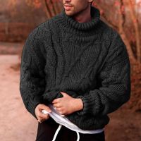 Fall Mens Casual Twisted Turtleneck Mens Sweater Knitwear