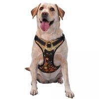 Dog Harness Pet Dog Chest Harness Vest Puppy Harness Outdoor Sports Pet Harness Traction Rope Suitable for Small and Medium Dogs