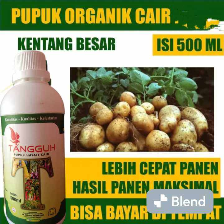 Pupuk Organik Terbaik Untuk Semua Tanaman 500ml | Lazada Indonesia