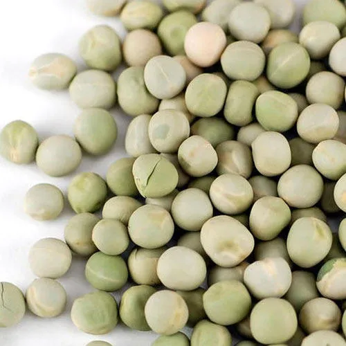 Green Peas 1 Kilogram Raw,Dried Lazada PH