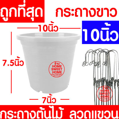 กระถางต้นไม้ ลวดแขวนกระถาง กระถางขาว ขนาด 10 นิ้ว กระถางพลาสติก กระถางกลม กระถางต้นไม้พลาสติก กระถางปลูกต้นไม้ กระถางดำ กระถางพลาสติกดำ Flower pot