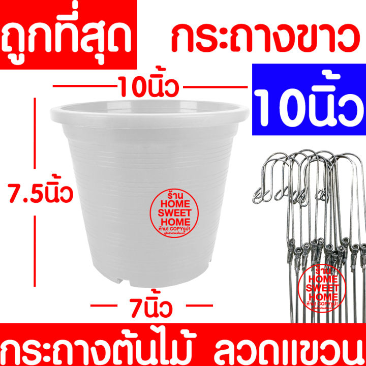 กระถางต้นไม้-ลวดแขวนกระถาง-กระถางขาว-ขนาด-10-นิ้ว-กระถางพลาสติก-กระถางกลม-กระถางต้นไม้พลาสติก-กระถางปลูกต้นไม้-กระถางดำ-กระถางพลาสติกดำ-flower-pot