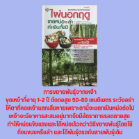 หนังสือเกษตร ไผ่นอกฤดูขายหน่อ &amp; ลำ ทำเงินทั้งปี : แบบอย่างและแนวทางการปลูกไผ่ขาย มีอะไรในกอไผ่ ชี้ช่องรวยด้วยไผ่