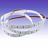 D2H  ไฟสาย LED Strip light เลือกแสง [วอร์ม/ขาว/แดง/เขียว/ฟ้า] ขนาดยาว 5 เมตร  [4.8W/m] รุ่น WL-ST-3528-12V