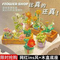 Ins building block immortal flower assembly compatible with Lego toys succulent potted girl series birthday gift for girlfriends Music Box toys