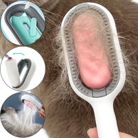 4 In 1 Dog Cat Grooming Comb with Water Tank Double Sided Pet Hair Removal Brush Universal Pet Cleaning Floating Hair Tools Brushes  Combs