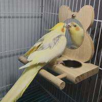 NXSDYM Budgies สีเทาแอฟริกัน นกแก้ว มาคอว์ ไม้ สแตนเลสสตีล แพลตฟอร์ม ของเล่นนก กระจกนกแก้ว คอนกรง ถ้วยใส่อาหาร