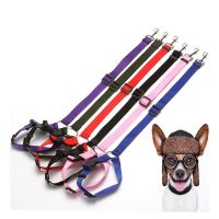 Two in one Pet Car Seat Belt Lead Leash BackSeat Safety Belt Adjustable Harness for Kitten Dogs Collar amp;Leads Pet Accessories