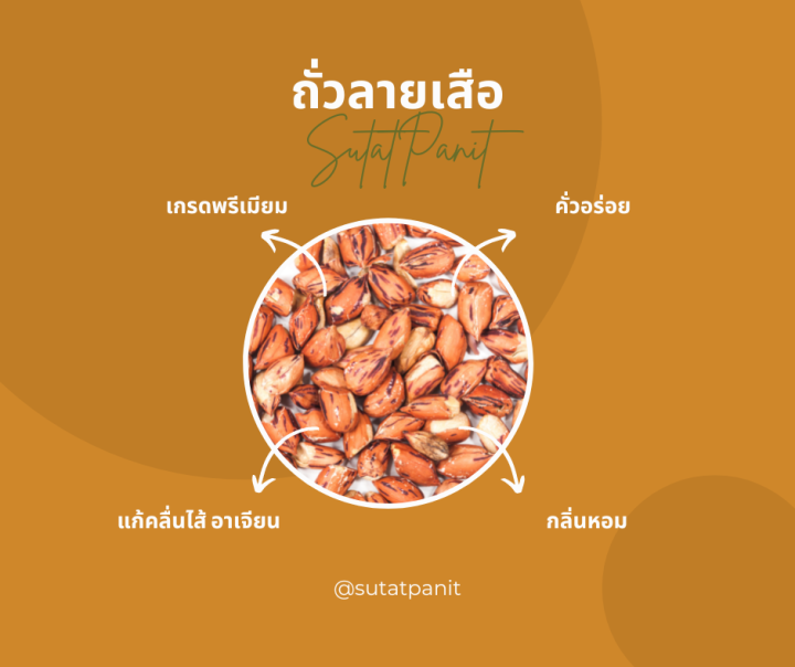 ถั่วลายเสือคั่ว-แม่ฮ่องสอน-100-กรัม-ตรา-สุทัศน์พานิช