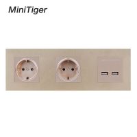 【Trusted】 Minitiger ผนัง PC แผงซ็อกเก็ตคู่16A สหภาพยุโรปเต้าเสียบไฟฟ้าแบบ Dual USB สมาร์ทชาร์จพอร์ต5โวลต์2A เอาท์พุท