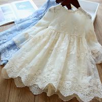 Autumn Winter Long Sleeve Girls Dress Flower Lace Kids Princess Birthday Vestidos Embroidered Elegant Children Casual Clothes